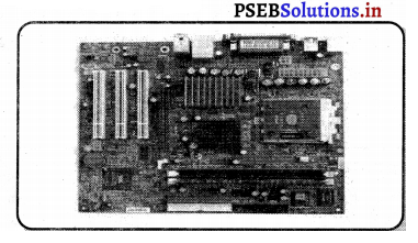 PSEB 6th Class Computer Notes Chapter 6 हार्डवेयर और सॉफ्टवेयर 2