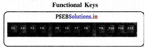 PSEB 6th Class Computer Notes Chapter 7 इनपुट यन्त्र 3