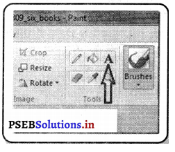 PSEB 6th Class Computer Solutions Chapter 5 एम एस पेंट (भाग-2) 2