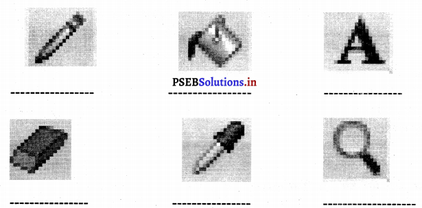 PSEB 6th Class Computer Solutions Chapter 5 एम एस पेंट (भाग-2) 3