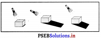 PSEB 6th Class Science Solutions Chapter 11 प्रकाश, छायाएँ और परावर्तन 9