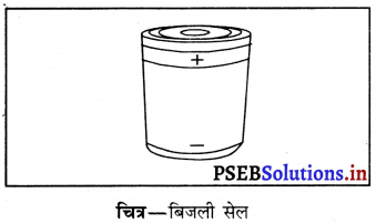 PSEB 6th Class Science Solutions Chapter 12 विद्युत तथा परिपथ 3