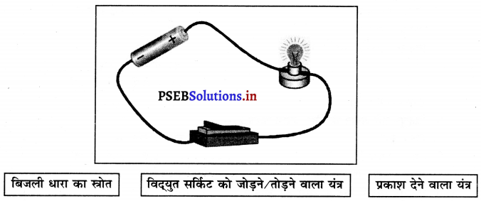 PSEB 6th Class Science Solutions Chapter 12 विद्युत तथा परिपथ 6