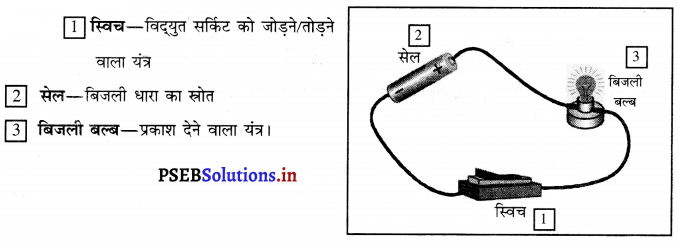 PSEB 6th Class Science Solutions Chapter 12 विद्युत तथा परिपथ 7