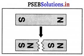 PSEB 6th Class Science Solutions Chapter 13 चुंबक द्वारा मनोरंजन 1