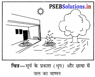 PSEB 6th Class Science Solutions Chapter 14 पानी 2