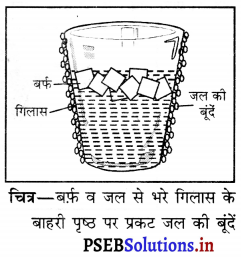 PSEB 6th Class Science Solutions Chapter 14 पानी 3