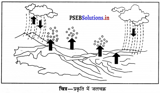 PSEB 6th Class Science Solutions Chapter 14 पानी 7
