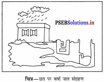 PSEB 6th Class Science Solutions Chapter 14 पानी 8