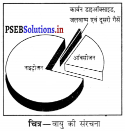 PSEB 6th Class Science Solutions Chapter 15 हमारे चारों ओर हवा 4