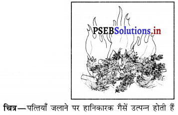 PSEB 6th Class Science Solutions Chapter 16 कचरा-संग्रहण एवं निपटान 2
