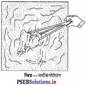 PSEB 6th Class Science Solutions Chapter 16 कचरा-संग्रहण एवं निपटान 5