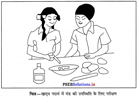 PSEB 6th Class Science Solutions Chapter 2 भोजन के तत्व 1