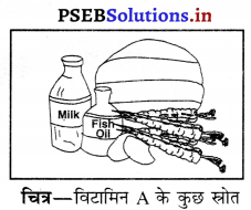 PSEB 6th Class Science Solutions Chapter 2 भोजन के तत्व 5
