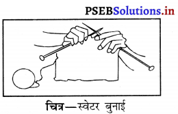 PSEB 6th Class Science Solutions Chapter 3 रेशों से वस्त्र तक 1