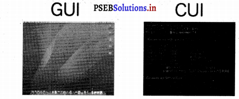 PSEB 7th Class Computer Notes Chapter 7 एम० एस० डॉस – PSEB Solutions