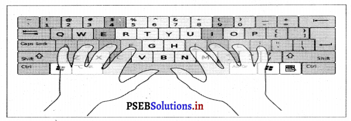 PSEB 7th Class Computer Solutions Chapter 1 टाइपिंग टयूटर – PSEB Solutions