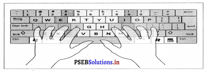 PSEB 7th Class Computer Solutions Chapter 1 टाइपिंग टयूटर 1
