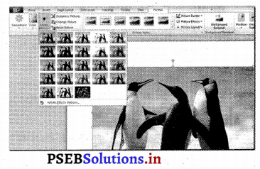 PSEB 7th Class Computer Solutions Chapter 5 एमएस वर्ड में फारमैटिंग (भाग-2) 8