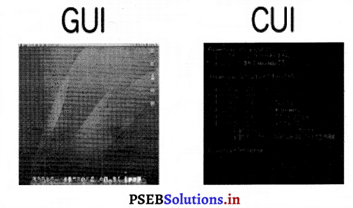PSEB 7th Class Computer Solutions Chapter 7 एम० एस० डॉस – PSEB Solutions