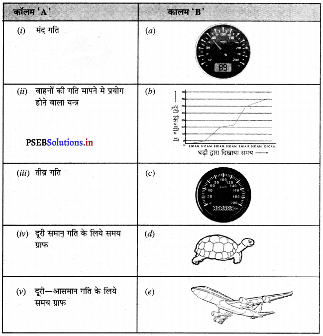 PSEB 7th Class Science Solutions Chapter 13 गति तथा समय – PSEB Solutions