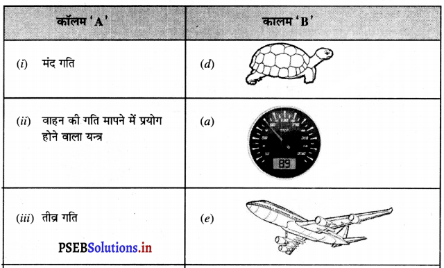PSEB 7th Class Science Solutions Chapter 13 गति तथा समय – PSEB Solutions