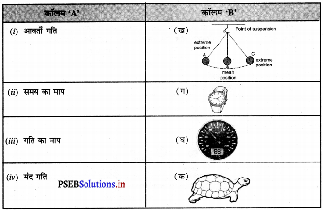 PSEB 7th Class Science Solutions Chapter 13 गति तथा समय – PSEB Solutions