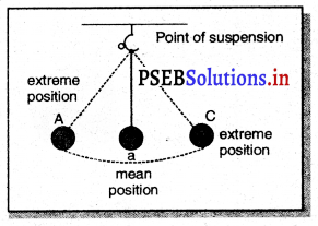 PSEB 7th Class Science Solutions Chapter 13 गति तथा समय – PSEB Solutions