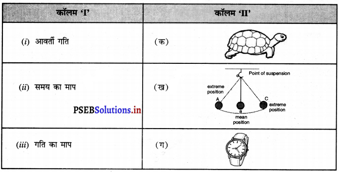 PSEB 7th Class Science Solutions Chapter 13 गति तथा समय 1