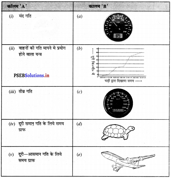 PSEB 7th Class Science Solutions Chapter 13 गति तथा समय 14