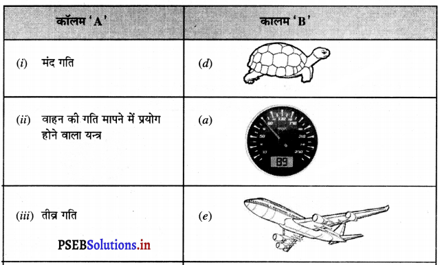 PSEB 7th Class Science Solutions Chapter 13 गति तथा समय 16