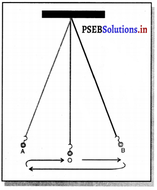 PSEB 7th Class Science Solutions Chapter 13 गति तथा समय 27