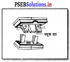 PSEB 7th Class Science Solutions Chapter 14 विद्युत धारा तथा इसके ...