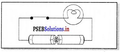 PSEB 7th Class Science Solutions Chapter 14 विद्युत धारा तथा इसके चुंबकीय प्रभाव 13