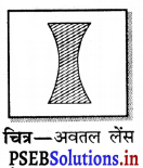 PSEB 7th Class Science Solutions Chapter 15 प्रकाश – PSEB Solutions