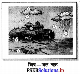 PSEB 7th Class Science Solutions Chapter 16 जल एक बहुमूल्य संसाधन 1