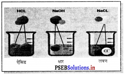 PSEB 7th Class Science Solutions Chapter 5 अम्ल, क्षारक और लवण 1