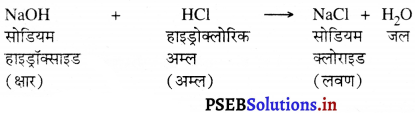 PSEB 7th Class Science Solutions Chapter 5 अम्ल, क्षारक और लवण 2