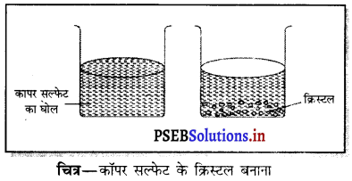 PSEB 7th Class Science Solutions Chapter 6 भौतिक एवं रासायनिक परिवर्तन 2