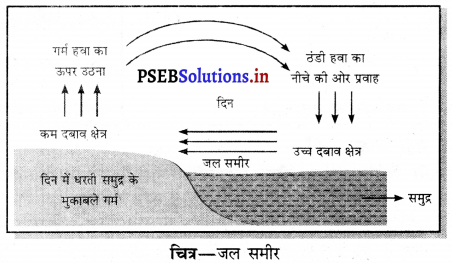 PSEB 7th Class Science Solutions Chapter 7 मौसम, जलवायु तथा जलवायु के अनुसार जंतुओं में अनुकूलन 1