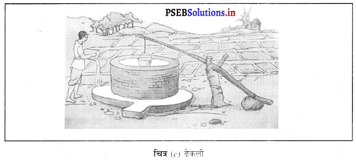 PSEB 8th Class Science Solutions Chapter 1 फसल उत्पादन एवं प्रबंध 13