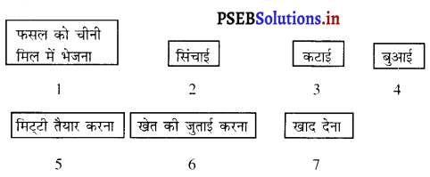 PSEB 8th Class Science Solutions Chapter 1 फसल उत्पादन एवं प्रबंध 3