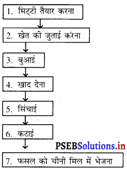 PSEB 8th Class Science Solutions Chapter 1 फसल उत्पादन एवं प्रबंध 4