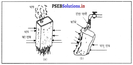 PSEB 8th Class Science Solutions Chapter 11 बल तथा दाब 5
