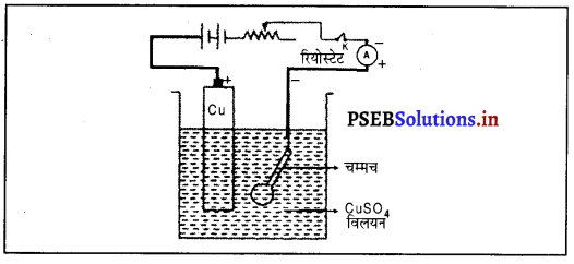 PSEB 8th Class Science Solutions Chapter 14 विद्युत धारा के रासायनिक प्रभाव 6