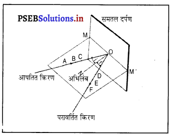 PSEB 8th Class Science Solutions Chapter 16 प्रकाश 1