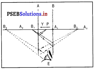 PSEB 8th Class Science Solutions Chapter 16 प्रकाश 5
