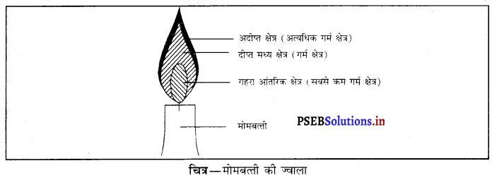 PSEB 8th Class Science Solutions Chapter 6 दहन और ज्वाला 1