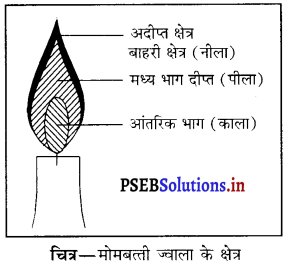 PSEB 8th Class Science Solutions Chapter 6 दहन और ज्वाला 3