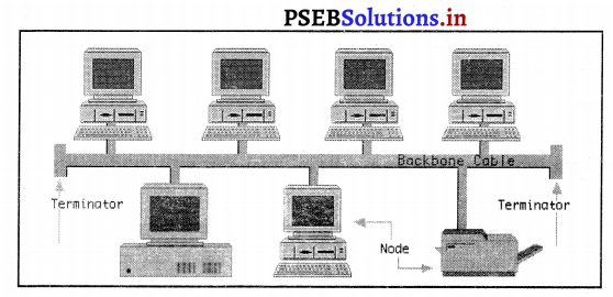 PSEB 9th Class Computer Notes Chapter 3 नेटवर्किंग 6